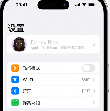 宝应appleID维修服务iPhone设置中Apple ID显示为灰色无法使用 