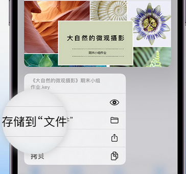 宝应apple维修中心分享iPhone文件应用中存储和找到下载文件