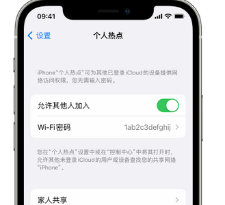 宝应apple服务站点分享iPhone上个人热点丢失了怎么办 