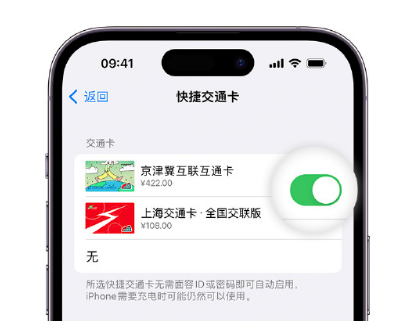 宝应apple维修点分享iPhone上更换Apple Pay快捷交通卡手绘卡面 