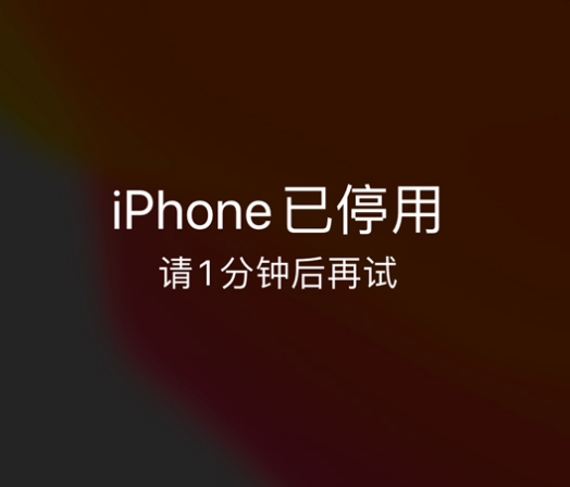 宝应苹果手机维修分享:iPhone 显示“不可用”或“已停用”怎么办？还能保留数据吗？ 