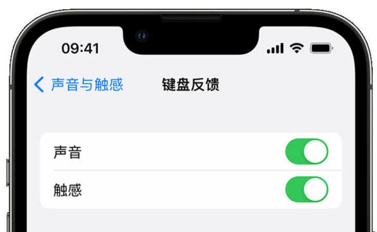 宝应苹果手机维修分享iPhone 14触感键盘使用方法 