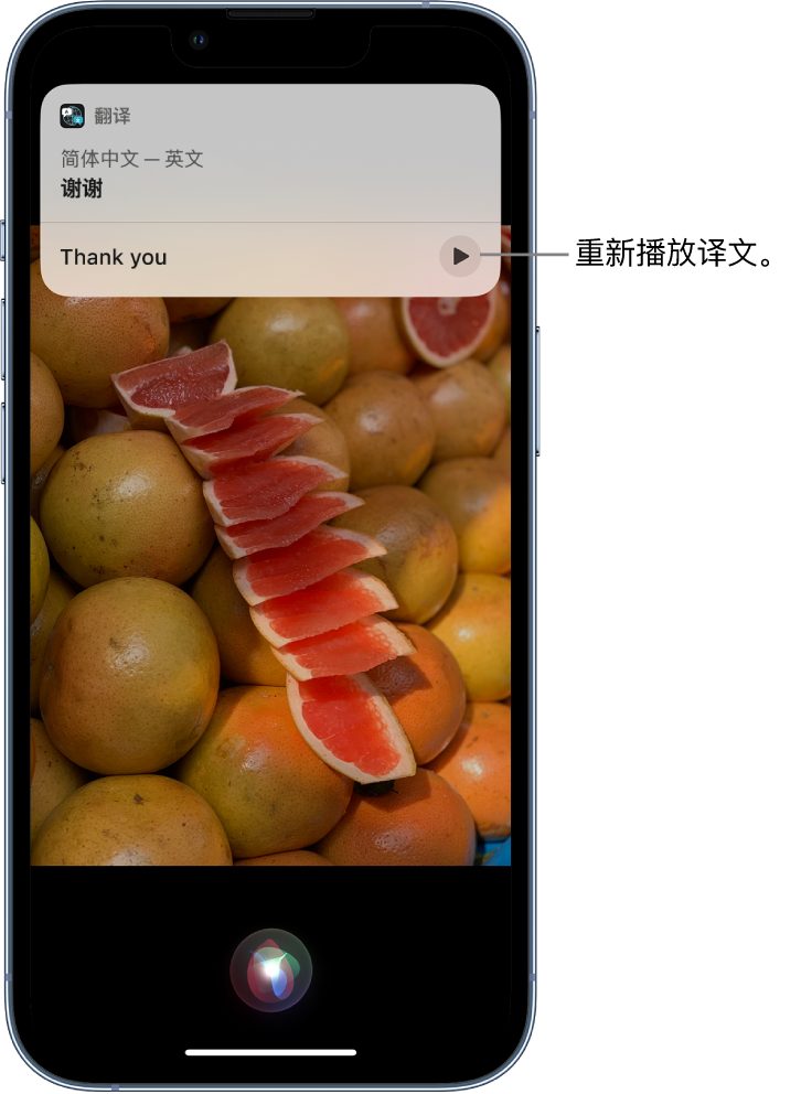 宝应苹果14维修分享 iPhone 14 机型中使用 Siri：了解 Siri 能帮你做什么 