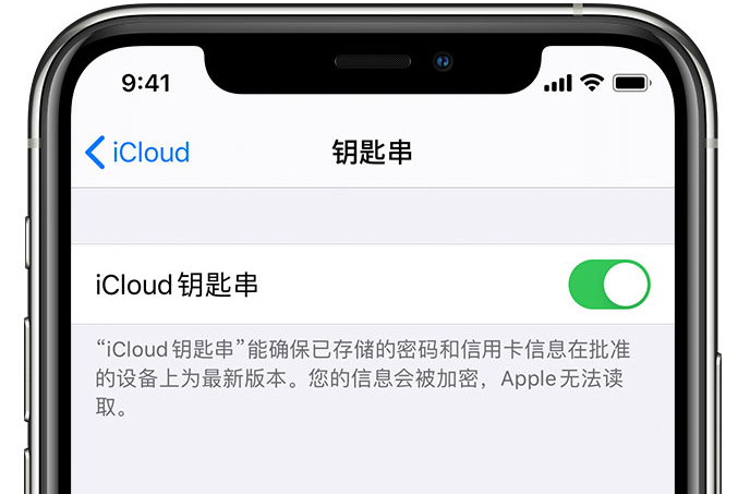 宝应苹果手机维修分享在 iPhone 上开启 iCloud 钥匙串之后会储存哪些信息 