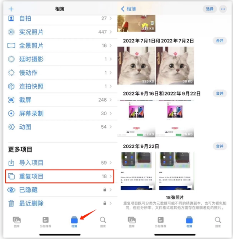 宝应苹果手机维修分享iOS 16 中相册重复项目功能使用方法 