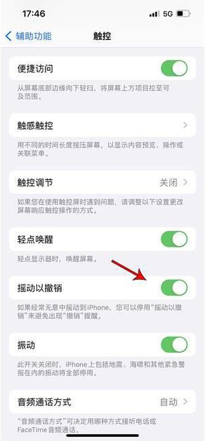 宝应苹果手机维修分享iPhone手机如何设置摇一摇删除文字 