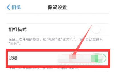 宝应苹果13维修分享iPhone13拍照有绿点是怎么回事 