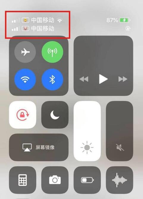 宝应苹果手机维修分享为 iPhone 12 双卡设置标签 