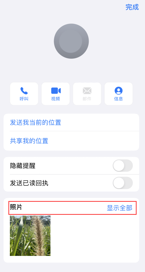 宝应苹果手机维修分享如何快速查找 iMessage 信息中的图片等附件 