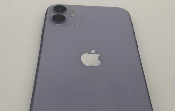 宝应苹果11系统维修分享iPhone11手机系统崩溃无法开机如何解决